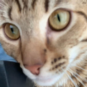 Meet your Posher, Anna